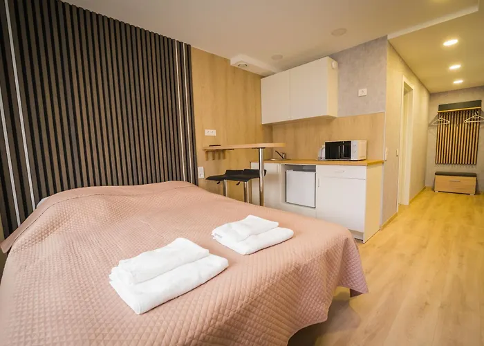 Tiny Appartamento Vilnius